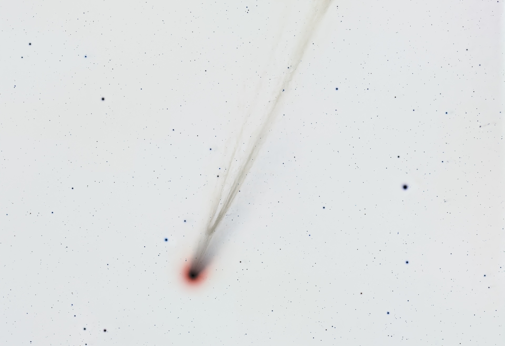 Comet C/2025 A6 (Lemmon) inverted